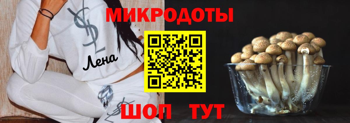 Псилоцибиновые грибы Magic Shrooms  закладки  Добрянка  Вход с VPN 